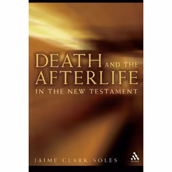 ISBN Death and the Afterlife in the New Testament, Anglais, Livre broché, 272 pages