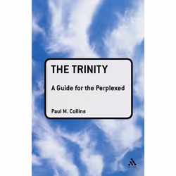 ISBN The Trinity: A Guide for the Perplexed, Anglais, Livre broché, 208 pages