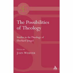ISBN The Possibilities of Theology, Anglais, Livre broché, 256 pages