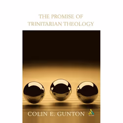ISBN The Promise of Trinitarian Theology, Anglais, Livre broché, 252 pages
