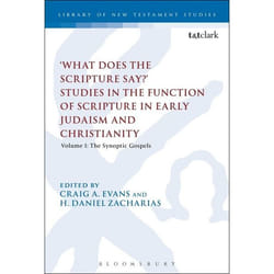 ISBN What Does the Scripture Say?' Studies in the Function of Scripture in Early Judaism and Christianity (Volume 1: The Synoptic Gospels) livre Education Anglais