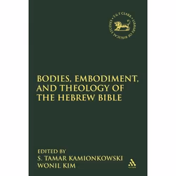 ISBN Bodies, Embodiment, and Theology of the Hebrew Bible, Religion, Anglais, Couverture rigide, 272 pages