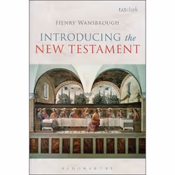ISBN Introducing the New Testament, Anglais, Couverture rigide, 424 pages