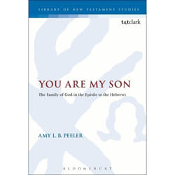 ISBN You Are My Son (The Family of God in the Epistle to the Hebrews)