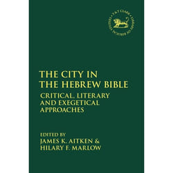 ISBN The City in the Hebrew Bible (Critical, Literary and Exegetical Approaches) livre Religion Anglais Couverture rigide 264 pages