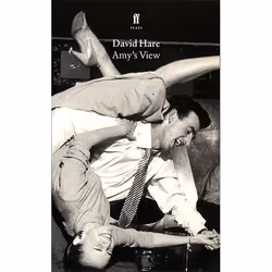 Allen & Unwin Amy's View, Littérature, Anglais, Livre broché, 96 pages