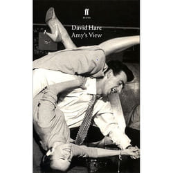 Allen & Unwin Amy's View livre Littérature Anglais