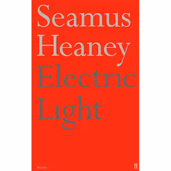 Allen & Unwin Electric Light, poésie, Anglais, Livre broché, 96 pages