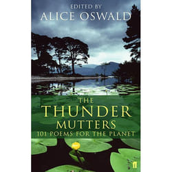 Allen & Unwin Thunder Mutters livre poésie Anglais