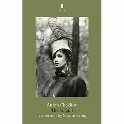 Allen &amp; Unwin The Seagull, Littérature, Anglais, Livre broché, 96 pages