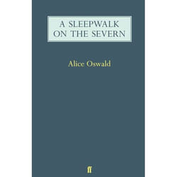 Allen & Unwin A Sleepwalk on the Severn livre poésie Anglais