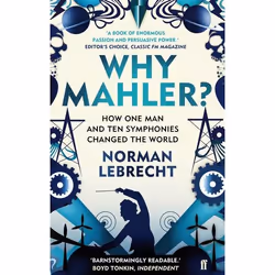 Allen &amp; Unwin Why Mahler?, Musique, Anglais, Livre broché, 384 pages