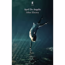 Allen & Unwin After Electra, Anglais, Livre broché, 96 pages