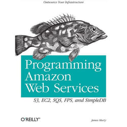 O'Reilly Programming Amazon Web Services livre