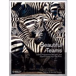 O'Reilly Beautiful Teams, 512 pages