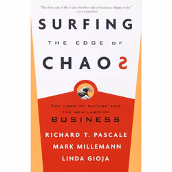 ISBN Surfing the Edge of Chaos, Livre broché, 336 pages