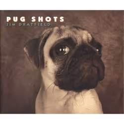 ISBN Pug Shots, Couverture rigide, 96 pages