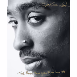 ISBN The Rose That Grew From Concrete, Anglais, Livre de poche, 176 pages