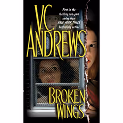 ISBN Broken Wings, Anglais, Édition de poche, 480 pages