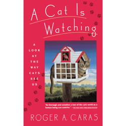 ISBN Cat is Watching Livre de poche