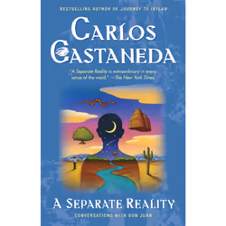 ISBN Separate Reality, Anglais, Livre de poche, 272 pages