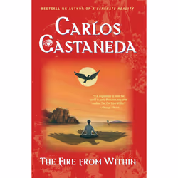 ISBN Fire from Within, Anglais, Livre de poche, 304 pages