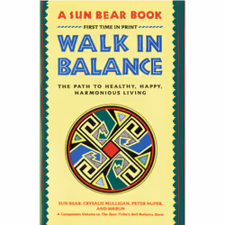ISBN Walk in Balance, Anglais, Livre de poche, 171 pages
