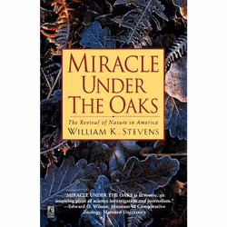 ISBN Miracle Under the Oaks, Anglais, Livre de poche, 352 pages