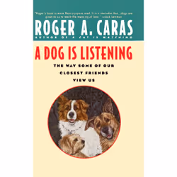 ISBN A Dog Is Listening, Anglais, Livre de poche, 240 pages