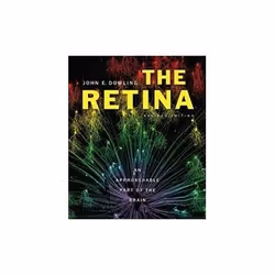 ISBN Retina: An Approachable Part of the Brain, Biologie, Anglais, Couverture rigide, 430 pages