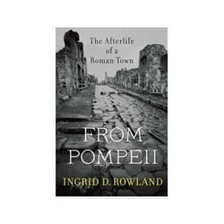 ISBN From Pompeii: The Afterlife of a Roman Town livre histoire Anglais