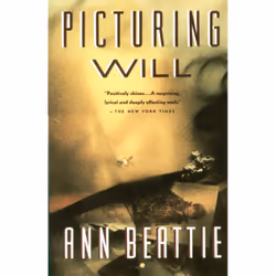 ISBN Picturing Will, Anglais, Livre broché, 240 pages