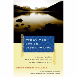 ISBN What You See in Clear Water, Livre broché, 306 pages