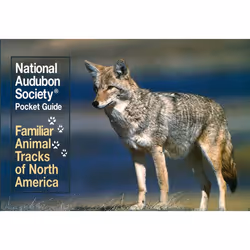 ISBN National Audubon Society Pocket Guide: Familiar Animal Tracks of North America, Livre broché, 192 pages
