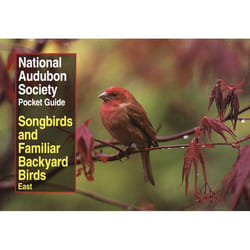 ISBN National Audubon Society Pocket Guide to Songbirds and Familiar Backyard Birds: Eastern Region livre