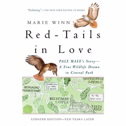 ISBN Red-Tails in Love, Livre broché, 352 pages