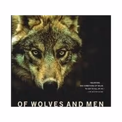 ISBN 9780684163222, Fantaisie, Turc, Livre broché, 320 pages