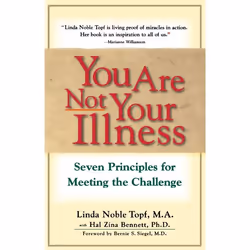 ISBN You Are Not Your Illness, Anglais, Livre de poche, 256 pages