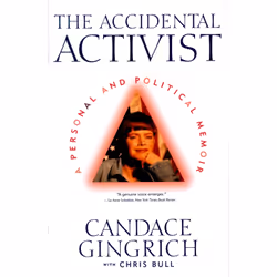 ISBN The Accidental Activist, Anglais, Livre de poche, 256 pages