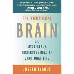 ISBN The Emotional Brain, Anglais, Livre de poche, 384 pages