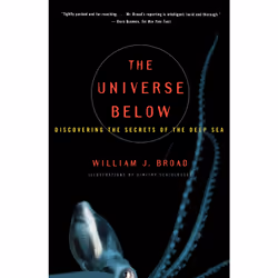 ISBN The Universe Below, Anglais, Livre de poche, 432 pages