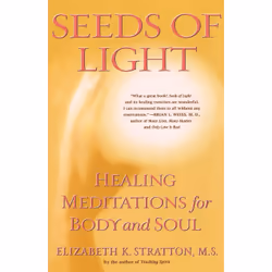 ISBN Seeds of Light, Anglais, Livre de poche, 256 pages