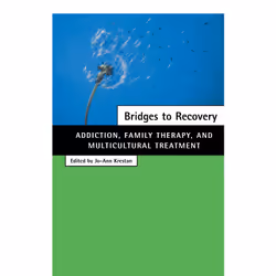 ISBN Bridges to Recovery, Anglais, Couverture rigide, 336 pages