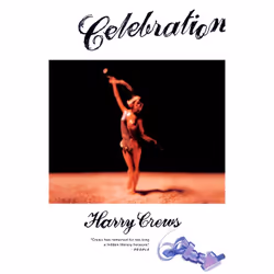 ISBN Celebration, Anglais, Livre de poche, 272 pages