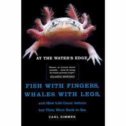 ISBN At the Water's Edge, Anglais, Livre de poche, 304 pages
