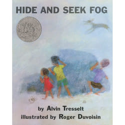 ISBN Hide and Seek Fog livre