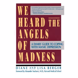 ISBN We Heard the Angels of Madness, Livre de poche, 312 pages