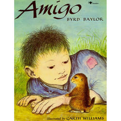 ISBN Amigo Livre de poche