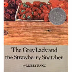 ISBN The Grey Lady and the Strawberry Snatcher, Anglais, Livre de poche, 48 pages