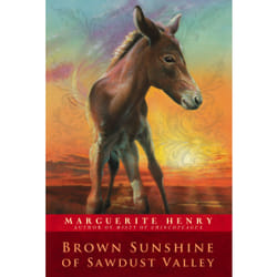 ISBN Brown Sunshine of Sawdust Valley Livre de poche